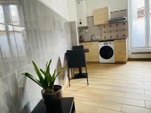 Kuchyňa alebo kuchynka v ubytovaní Les appartements du village