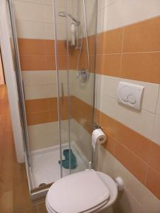 y baño con aseo y ducha acristalada. en La Casa degli Angeli, en Matera