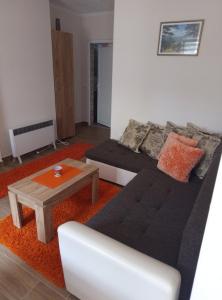Posezení v ubytování Apartmani Jela Tara