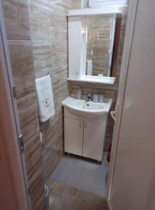 Koupelna v ubytování Apartmani Jela Tara