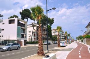 una calle con palmeras al lado de una carretera en Casa al Mare Pescara en Pescara