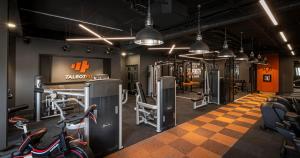 Fitness centrum a/nebo fitness zařízení v ubytování Talbot Hotel Stillorgan