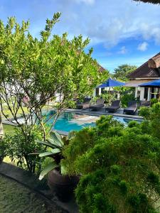 a resort with a swimming pool and some plants at Asri Villas Bingin in Uluwatu