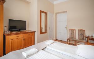 1 dormitorio con 1 cama y vestidor con TV en Jasny Pałac, en Zakopane