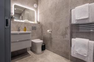 a bathroom with a toilet and a sink and a mirror at The Arran, St Andrews in St. Andrews