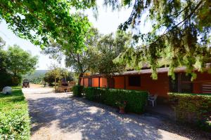 an orange house with bushes next to a tree at Agriturismo Brancalino in Magliano in Toscana
