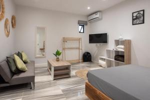 Μια τηλεόραση ή/και κέντρο ψυχαγωγίας στο LeCosyCanonniersStudio1