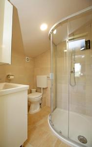a bathroom with a shower and a toilet and a sink at Villa Tea in Donje Polje +25 photos