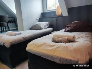 two beds sitting next to each other in a room at House of Tulips in Hillegom