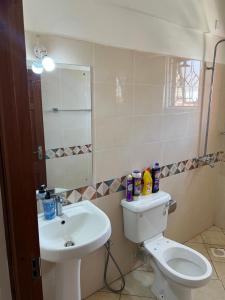 a bathroom with a sink and a toilet and a mirror at Fully furnished one bedroom apartment in Mombasa VOK off nyali road in Mombasa