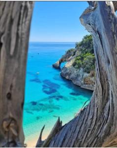 vista sull'oceano da un tronco d'albero di Sa Dommu de Kerciu vista mare IUN R0018 a Baunei