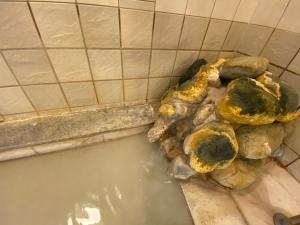 Bilde i galleriet til kinkaku Onsen 金閣莊 private onsen reservation for free i Hakone
