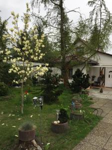 ein Haus mit einem Garten mit einem blühenden Baum im Hof in der Unterkunft Kleines Haus im Oderbruch in Neutrebbin