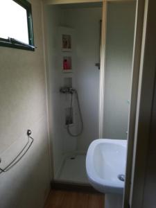 a white bathroom with a shower and a sink at 5 Personen Chalet am Luganer See in Porlezza