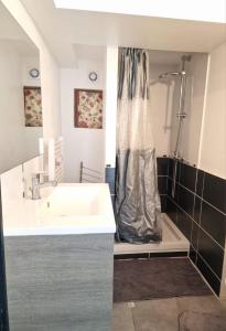 a bathroom with a sink and a shower at Le camélia de la mazarié in Saint-Vincent