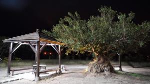 Gambar di galeri bagi 夏日微醺Summer Drinks di Bandar Lama Hengchun