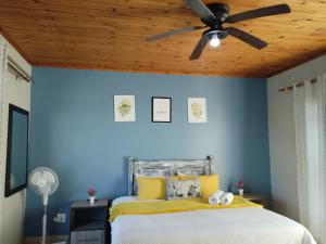 um quarto com paredes azuis e uma ventoinha de tecto em Tokelo Guesthouse Emalahleni em Witbank