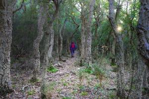 Hostia v ubytovaní Wanakaset Pyrénées Orientales