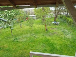 Blick auf einen Garten mit einer Bank und Bäumen in der Unterkunft Lulu in Castelmoron-sur-Lot