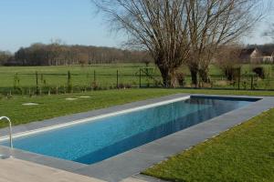 a swimming pool in the middle of a grass field at Villa Steedje in Jabbeke