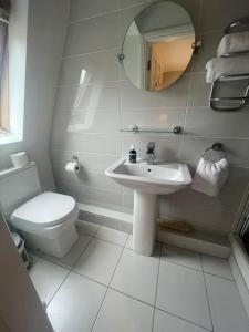 a bathroom with a sink and a toilet and a mirror at Beechwood House Accommodation in Blarney