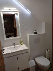 a bathroom with a toilet and a sink and a mirror at Casa Rústica da Lavandeira in Valongo dos Azeites