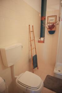 a bathroom with a toilet and a ladder in it at Primor Serra AL 2 in Covilhã