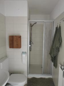 e bagno con doccia, servizi igienici e lavandino. di Sternstube – Appartement mit traumhaftem Weitblick a Freyung