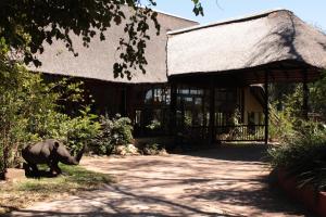 Gallery image of Inkwenkwezi Private Game Reserve in Chintsa