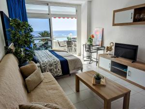Televízia a/alebo spoločenská miestnosť v ubytovaní Beachfront studio apartment Puerto Rico