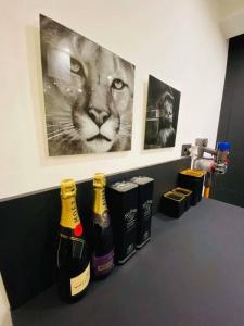 a shelf with bottles of champagne and a picture of a cat at Superbe appartement chic et design in Seraing