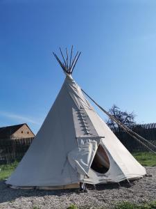 a white teepee tent sitting on the ground at Teepee Camp Lounky in Chodouny