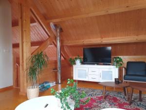 a living room with a large television in a wooden ceiling at Recreatiewoning De NieuwenHof in Melderslo