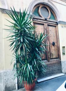 a pair of palm trees in front of a door at Roma Da Noi Suite in Rome