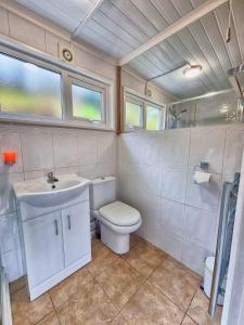 a bathroom with a toilet and a sink at Caswell Beach Chalet 70 located in Gower Peninsula in Swansea