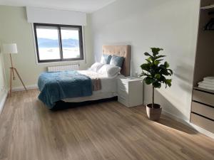 a bedroom with a bed and a potted plant at Mirador Puerto Náutico, con parking gratis, in Moaña