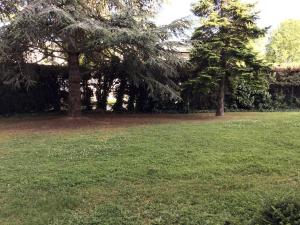 Vonkajšia záhrada v ubytovaní Calme & Confort - proche Cité de l'Espace