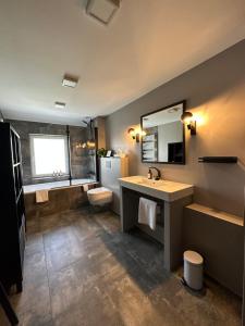 a bathroom with a sink and a toilet and a mirror at Remise-Berlin-Grünau your cozy and comfortable home to stay for up to 6 people between Müggelsee and Berlin city in Berlin