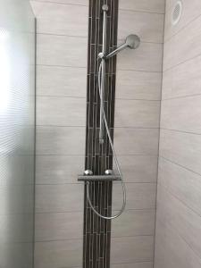 a shower with a shower head in a bathroom at Charmantes lütt Eckhus Zingst in Zingst