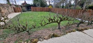Vonkajšia záhrada v ubytovaní Jardins de Mélusine - Maison en pierres