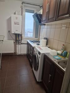 uma cozinha com uma máquina de lavar roupa e um lavatório em Apartament Gara de Nord em Bucareste