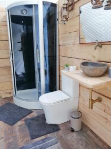 a bathroom with a toilet and a sink and a shower at Glamping Quintana in Gijón