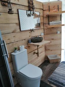 bagno con servizi igienici, lavandino e specchio di Glamping Quintana a Gijón