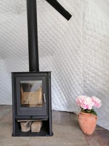 a black stove with a pot of flowers next to it at Glamping Quintana in Gijón