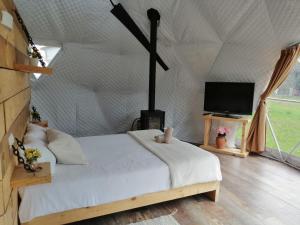 a bedroom with a bed and a tv in a tent at Glamping Quintana in Gijón