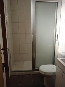 W łazience znajduje się toaleta i przeszklony prysznic. w obiekcie O Galito w mieście Praia de Mira