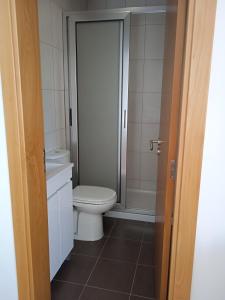 a bathroom with a toilet and a shower at O Galito in Praia de Mira