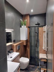 a bathroom with a shower and a toilet and a sink at Apartament Przy Rynku in Lewin Kłodzki