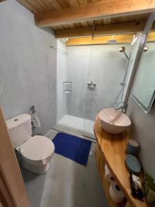 La salle de bains est pourvue de toilettes, d'un lavabo et d'une douche. dans l'établissement yoco, à Eleonas