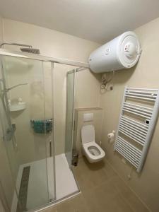 a bathroom with a shower stall and a toilet at Cosy, sea view apartment Porat in Porat
